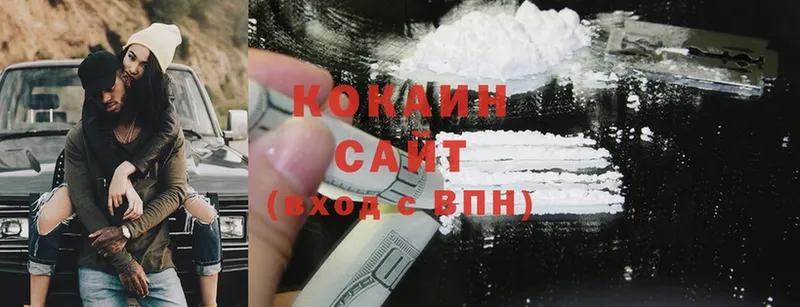 Кокаин FishScale  где купить наркоту  Константиновск 